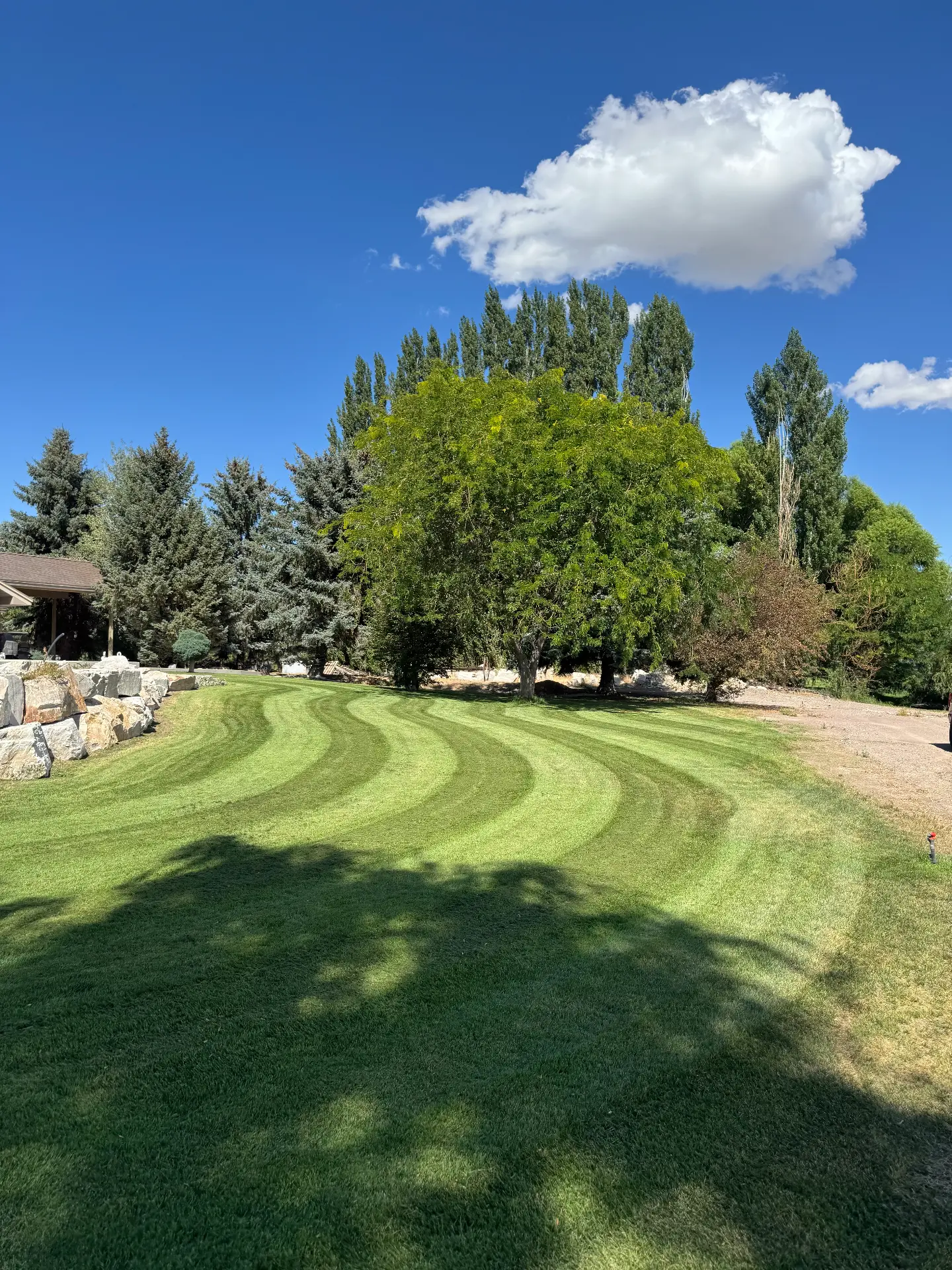 Freshly mowed lawn with clean curved stripes — R & R Lawncare, Burley Idaho